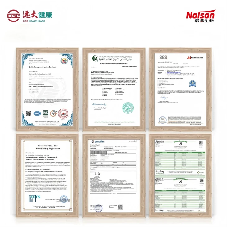 Bifidobacterium Longum