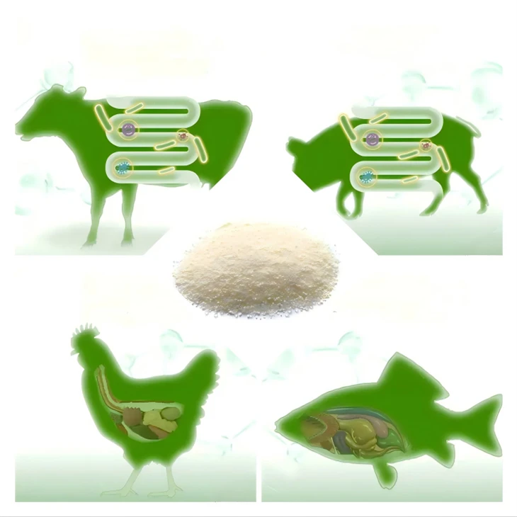 Marine Red Yeast