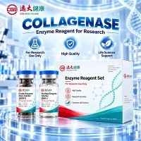 치밀한 조직 해리를 위한 CGE 콜라게나제 C-DEN-02